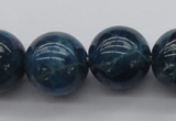 CAP404 15.5 inches 12mm round A grade natural apatite beads