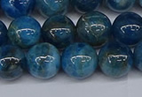 CAP413 15.5 inches 10mm round apatite gemstone beads wholesale