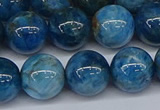 CAP414 15.5 inches 12mm round apatite gemstone beads wholesale