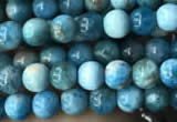 CAP576 15.5 inches 4mm round apatite beads wholesale