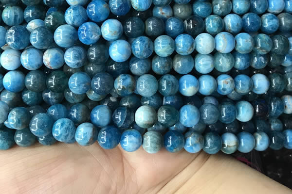 CAP579 15.5 inches 10mm round apatite beads wholesale