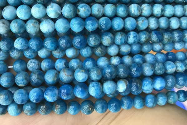 CAP590 15.5 inches 10mm round apatite beads wholesale