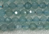 CAP620 15.5 inches 2mm faceted round tiny apatite gemstone beads