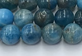 CAP630 15.5 inches 6mm round apatite beads wholesale