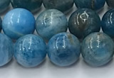 CAP631 15.5 inches 8mm round apatite beads wholesale