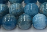 CAP632 15.5 inches 10mm round apatite beads wholesale