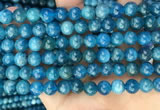 CAP652 15.5 inches 8mm round natural apatite beads wholesale