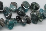 CAP73 15.5 inches 10*20mm nugget dyed apatite gemstone beads wholesale