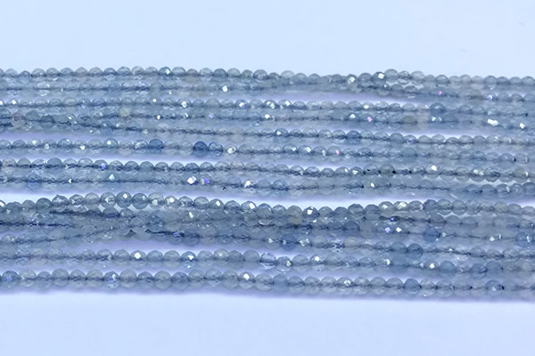 CAQ960 15 inches 2mm faceted round aquamarine beads