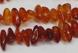 CAR116 16 inches 3*8mm - 4*10mm natural amber chips beads