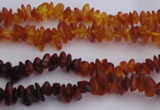 CAR202 24 inches 3*6mm natural amber chips beads wholesale