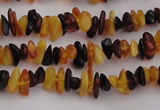 CAR204 24 inches 3*8mm natural amber chips beads wholesale