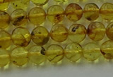 CAR521 15.5 inches 5mm - 6mm round natural amber beads wholesale