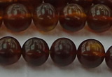 CAR528 15.5 inches 8mm - 9mm round natural amber beads wholesale