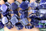 CARV10 15 inches 17mm – 18mm carved flower sodalite beads