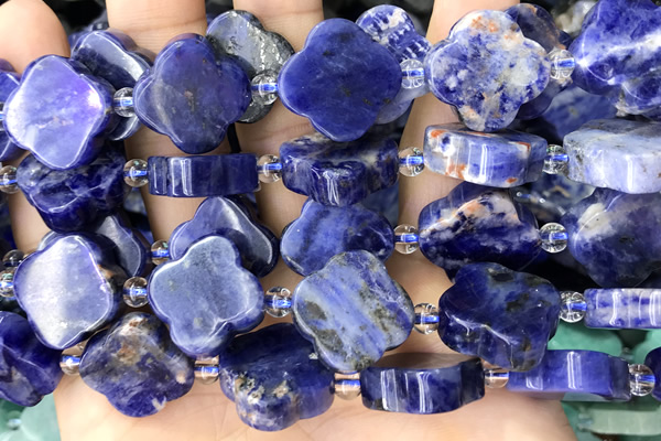 CARV10 15 inches 17mm – 18mm carved flower sodalite beads