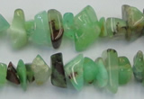 CAU407 15.5 inches 4*8mm - 6*14mm Australia chrysoprase chips beads