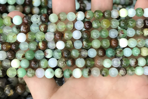 CAU435 15.5 inches 6mm round Australia chrysoprase beads wholesale