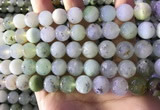 CAU463 15.5 inches 11mm - 12mm round Australia chrysoprase beads