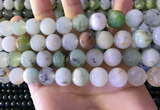 CAU464 15.5 inches 13mm - 14mm round Australia chrysoprase beads