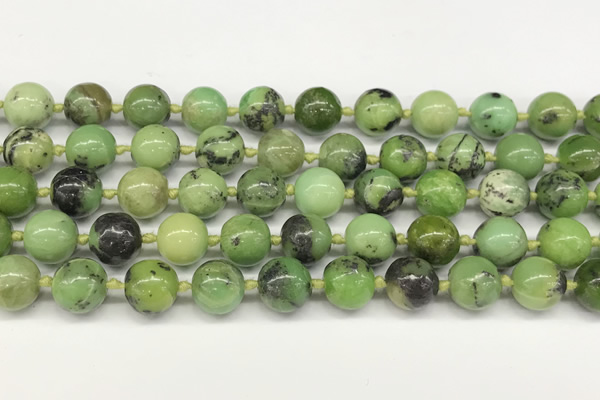 CAU541 15.5 inches 10mm round Australia chrysoprase gemstone beads