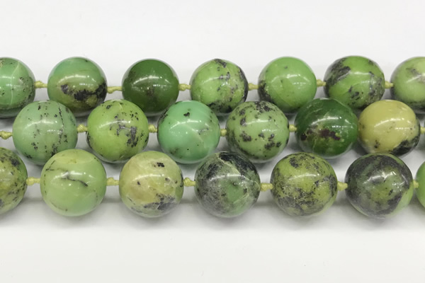 CAU544 15.5 inches 16mm round Australia chrysoprase gemstone beads