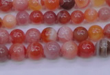 CBC400 15.5 inches 4mm A grade round orange chalcedony beads