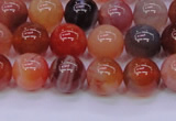 CBC403 15.5 inches 10mm A grade round orange chalcedony beads