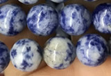 CBS602 15.5 inches 8mm round blue spot stone beads wholesale