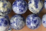 CBS605 15.5 inches 14mm round blue spot stone beads wholesale