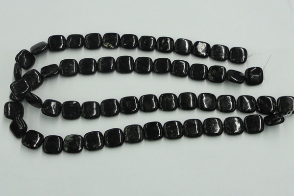 CBT06 16 inches 14*14mm square natural biotite beads wholesale