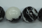 CBW108 15.5 inches 20mm round black & white jasper beads