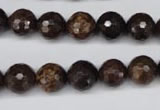 CBZ95 15.5 inches 10mm faceted round bronzite gemstone beads