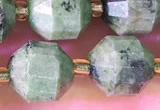 CCB1007 15 inches 9*10mm faceted diopside quartz beads