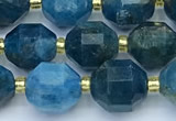 CCB1265 15 inches 9*10mm faceted apatite gemstone beads