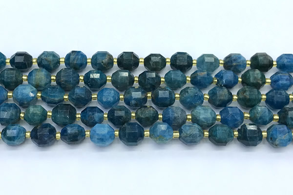 CCB1265 15 inches 9*10mm faceted apatite gemstone beads