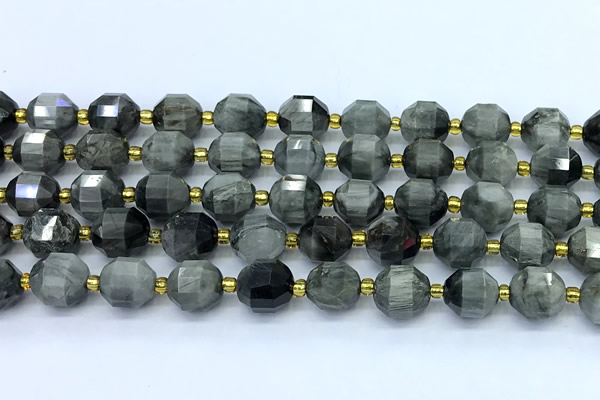 CCB1266 15 inches 9*10mm faceted eagle eye jasper beads