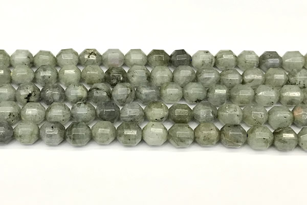 CCB1421 15 inches 9mm - 10mm faceted labradorite beads