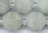 CCB1452 15 inches 9mm - 10mm faceted white moonstone beads