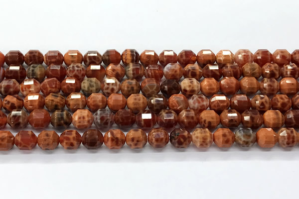 CCB1505 15 inches 7mm - 8mm faceted fire agate beads