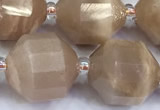 CCB1537 15 inches 11mm - 12mm faceted moonstone gemstone beads