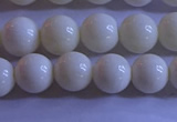 CCB302 15.5 inches 8mm round white coral beads wholesale