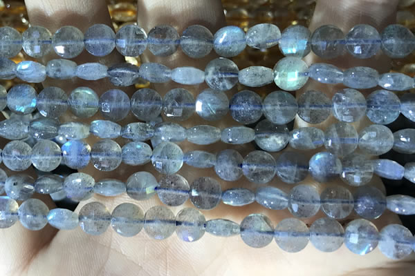 CCB607 15.5 inches 6mm faceted coin labradorite gemstone beads