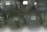 CCB684 15.5 inches 10mm faceted coin labradorite gemstone beads