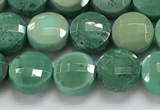 CCB709 15.5 inches 6mm faceted coin grass agate gemstone beads