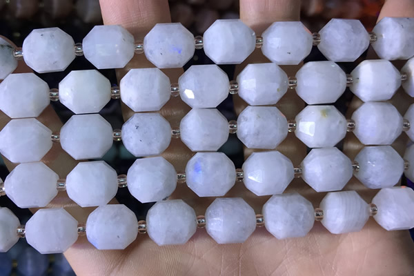 CCB852 15.5 inches 11*12mm faceted white moonstone beads wholesale