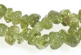 CCH16 35 inches green peridot chips gemstone beads wholesale