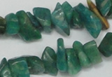 CCH231 34 inches 5*8mm Russian amazonite chips gemstone beads wholesale