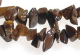 CCH30 34 inches tigers Eye chips gemstone beads wholesale