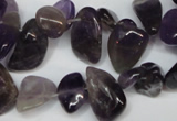 CCH316 15.5 inches 10*15mm amethyst chips gemstone beads wholesale